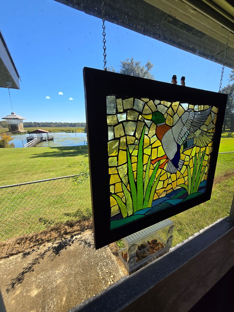 7583 Murkerson Street, Donalsonville, GA 39845 - #2