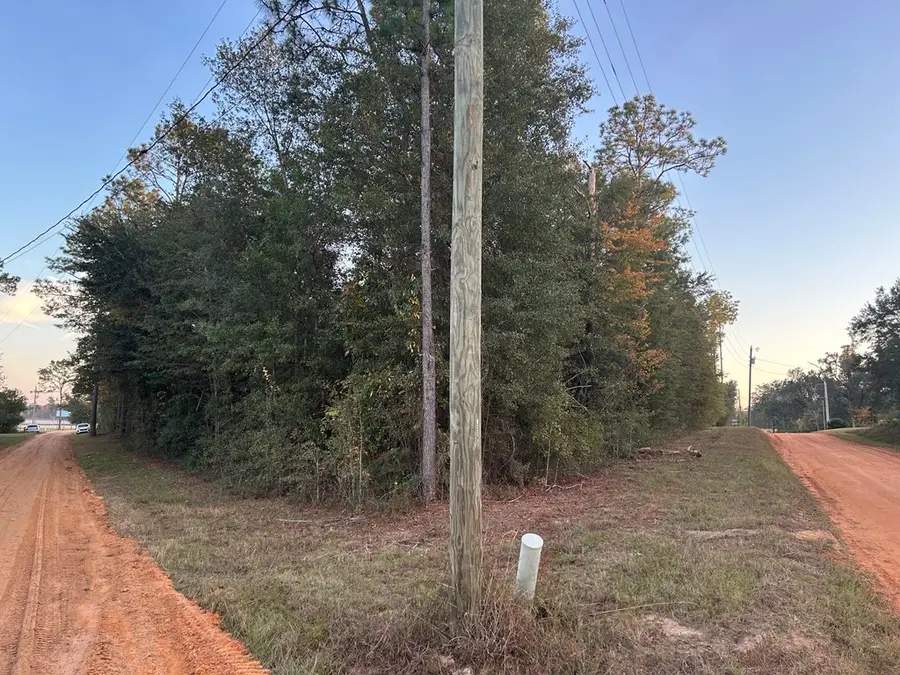 16,17,18 Paradise Circle, Donalsonville, GA 39845 - #2