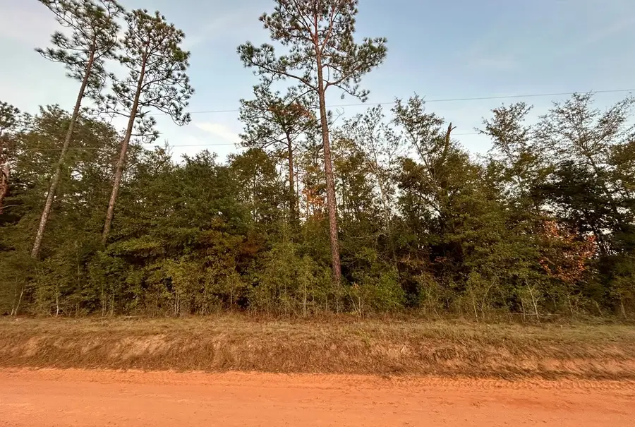 11,12,13 Paradise Circle, Donalsonville, GA 39845 - #2