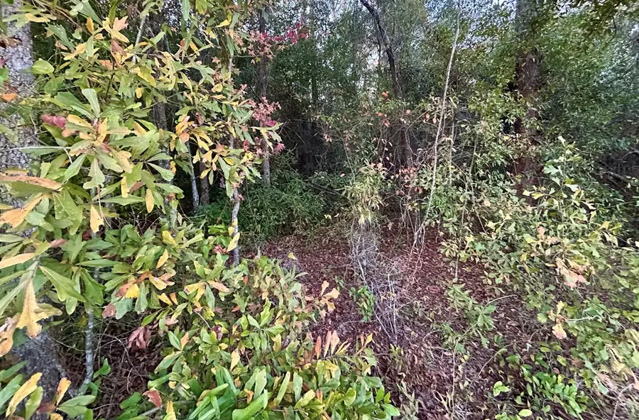 11,12,13 Paradise Circle, Donalsonville, GA 39845 - #3