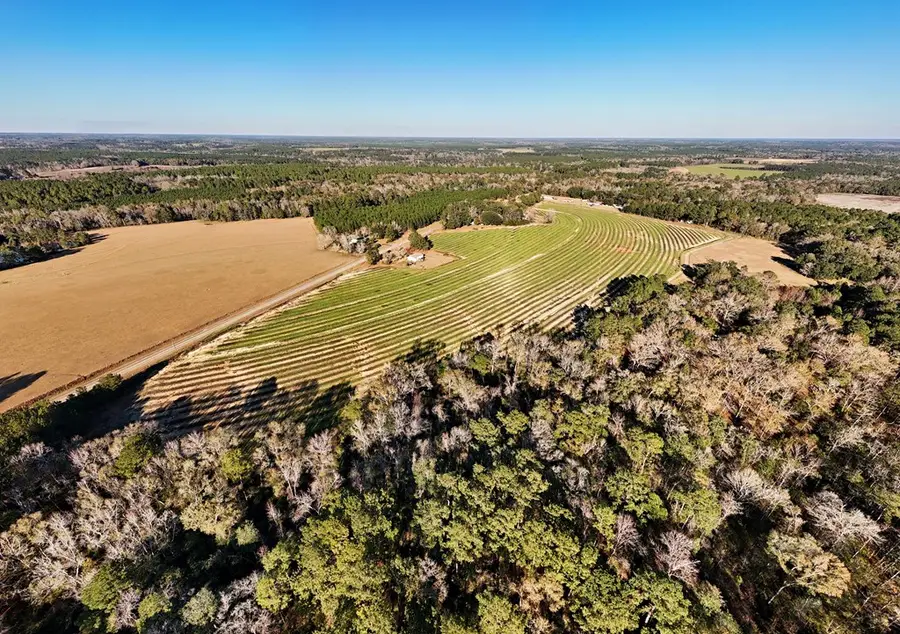 00 Tired Creek Rd., Whigham, GA 39897 - #2