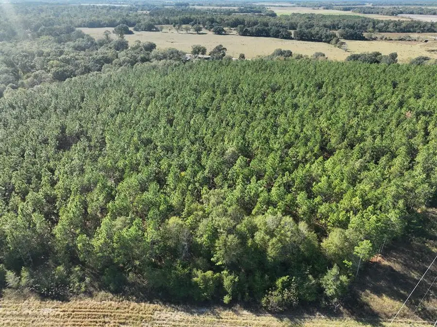 2716 Fryer Rd, Blakely, GA 39823 - #2