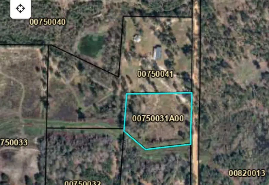 317 Palmer Rd, Bainbridge, GA 39819 - #3