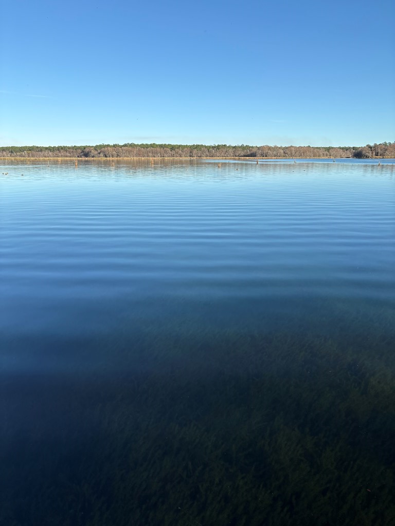 7779 Spring Creek Drive, Donalsonville, GA 39845 - #2