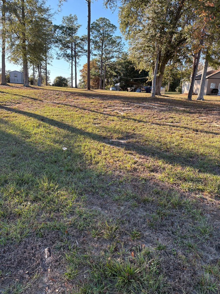 7779 Spring Creek Drive, Donalsonville, GA 39845 - #3