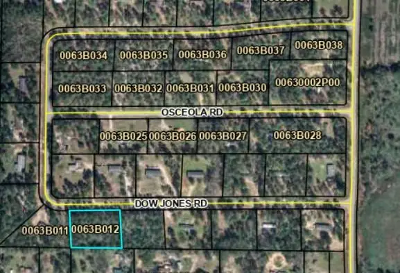 Lot 12 Dow Jones Road, Bainbridge, GA 39817 - #1