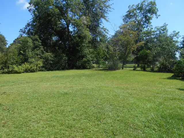 1405 Platt Ave Se, Cairo, GA 39828 - #3