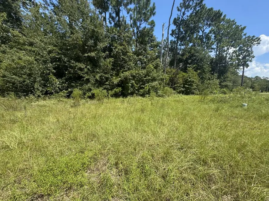 0 Sunny Dr, Donalsonville, GA 39845 - #3