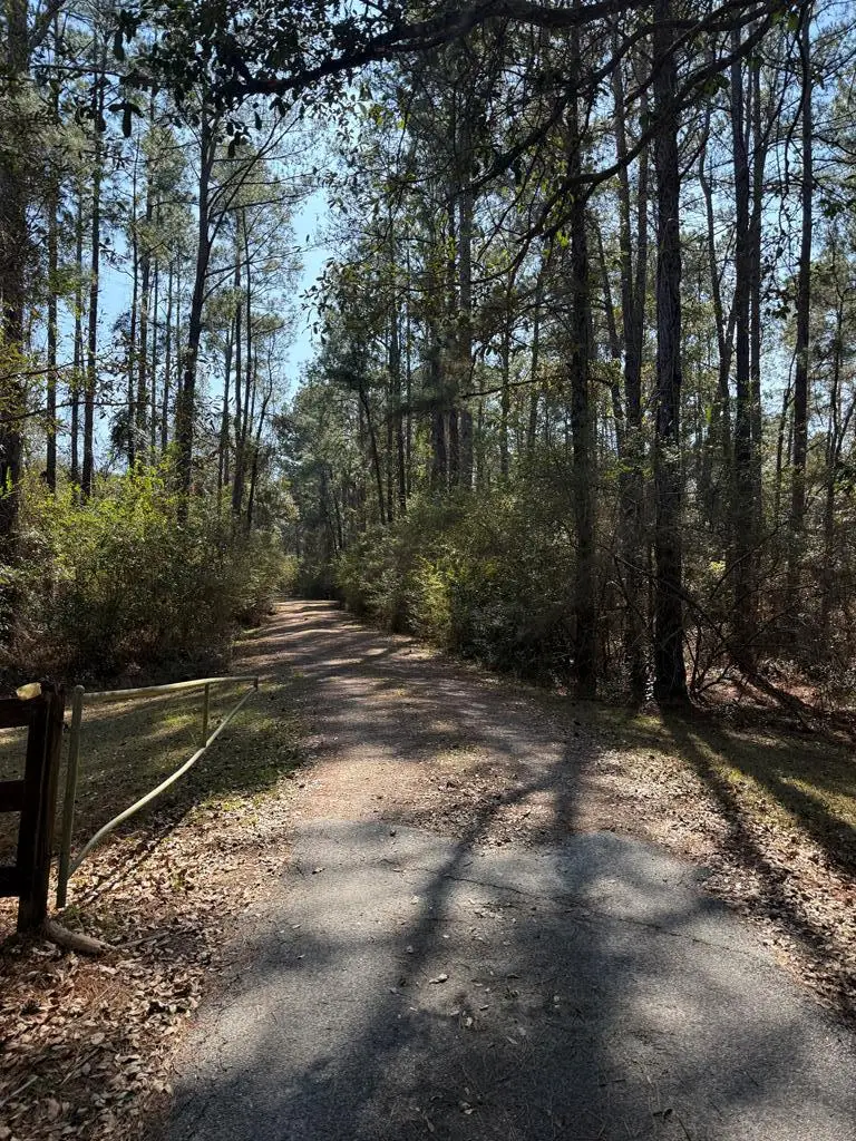 2574 Lake Douglas, Bainbridge, GA 39819 - #2