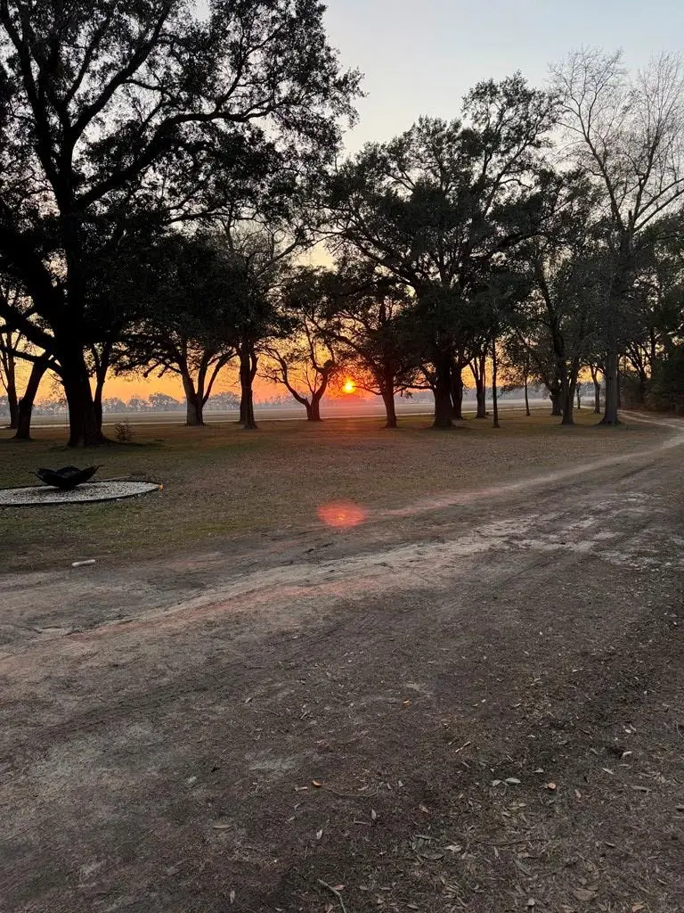 2817 E Old Bainbridge Rd, Jakin, GA 39861 - #3