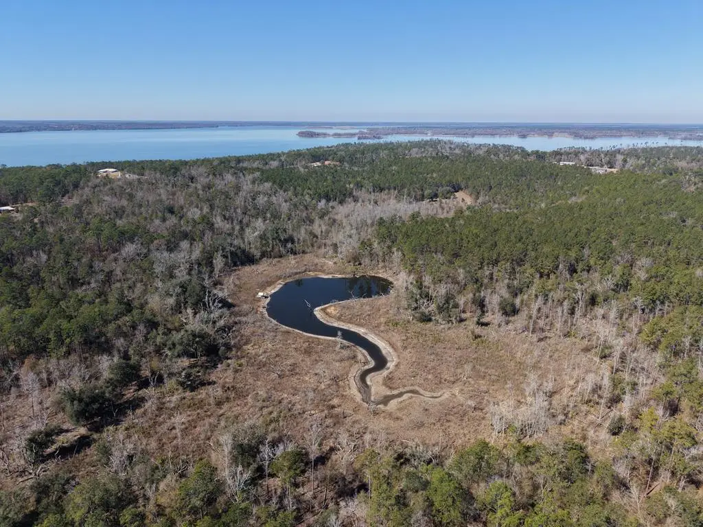 93 Acres Dell Road, Bainbridge, GA 39819 - #1