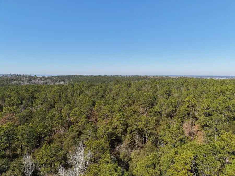 93 Acres Dell Road, Bainbridge, GA 39819 - #3