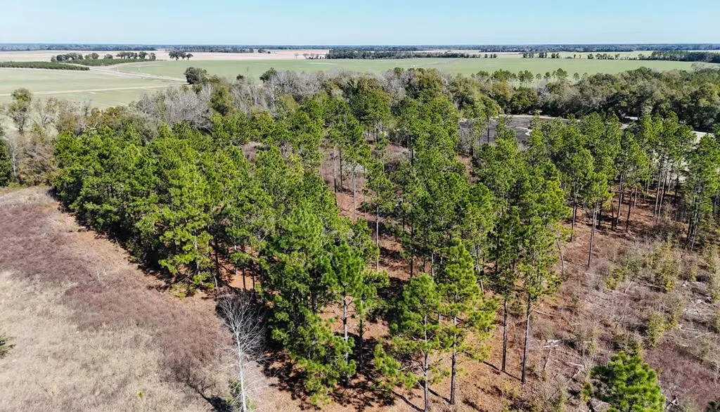 0 Lone Oak Tr., Colquitt, GA 39837 - #1