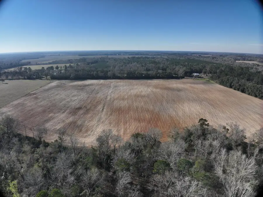 891 Griggs Lucile, Colquitt, GA 39837 - #2