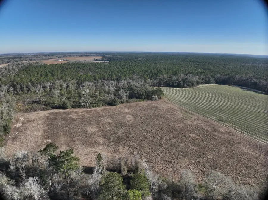 891 Griggs Lucile, Colquitt, GA 39837 - #3