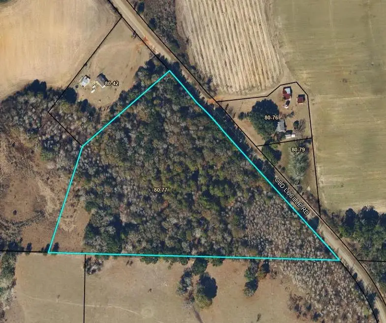 0080012 Old Lucile Rd, Blakely, GA 39823 - #3
