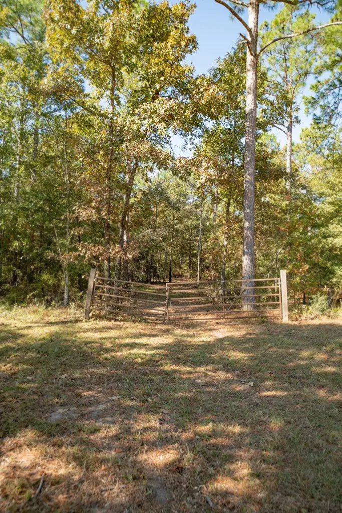 8191 Harvel Pond Road, Donalsonville, GA 39845 - #2