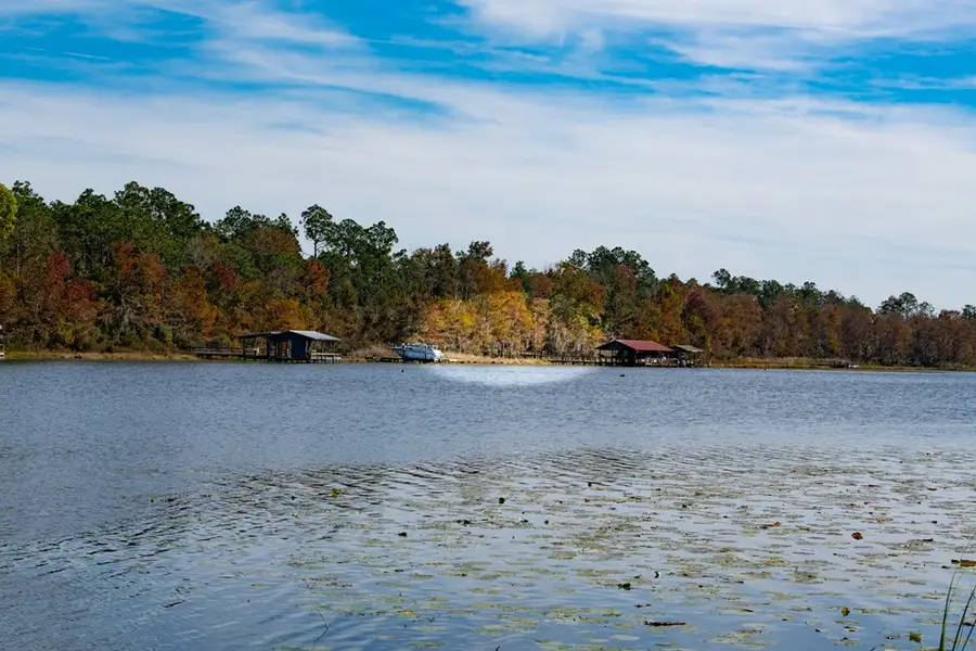 8191 Harvel Pond Road, Donalsonville, GA 39845 - #3