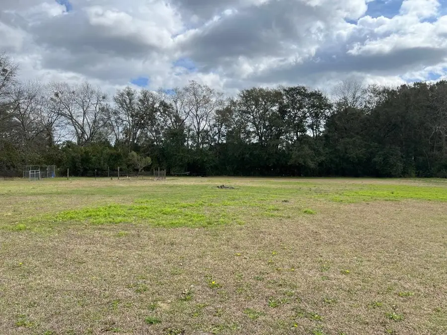 1521 Stage Coach Road, Pelham, GA 31779 - #3