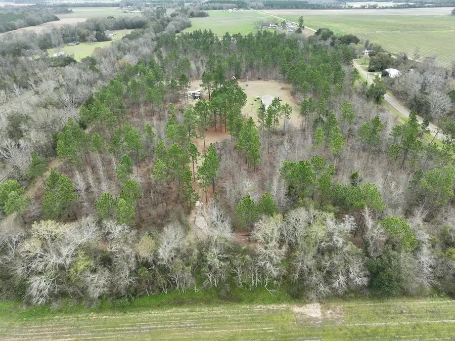 6175 Killebrew Rd, Damascus, GA 39841 - #3