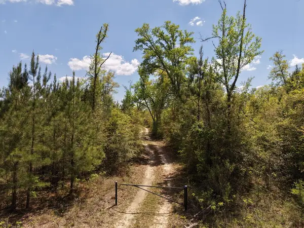 380 Ac Ga -370, Blakely, GA 39823