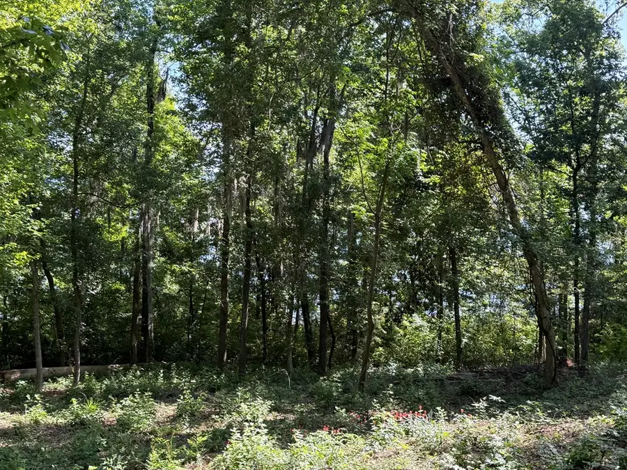 Lot 3 Lakeshore Drive, Bainbridge, GA 39819 - #3