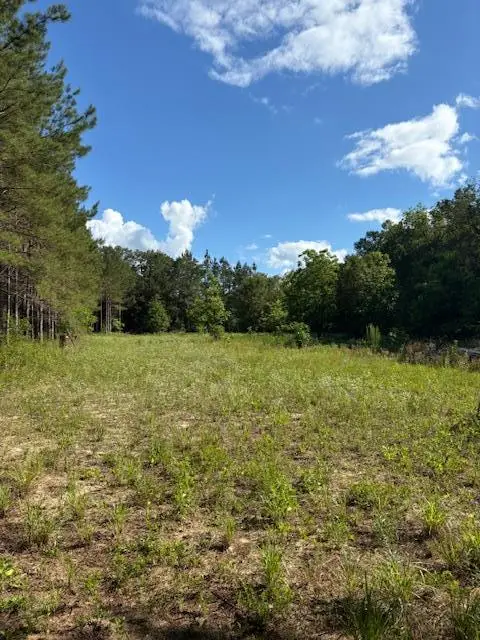 570 Bethany Church Rd, Bainbridge, GA 39817 - #2
