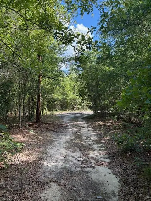 570 Bethany Church Rd, Bainbridge, GA 39817 - #3
