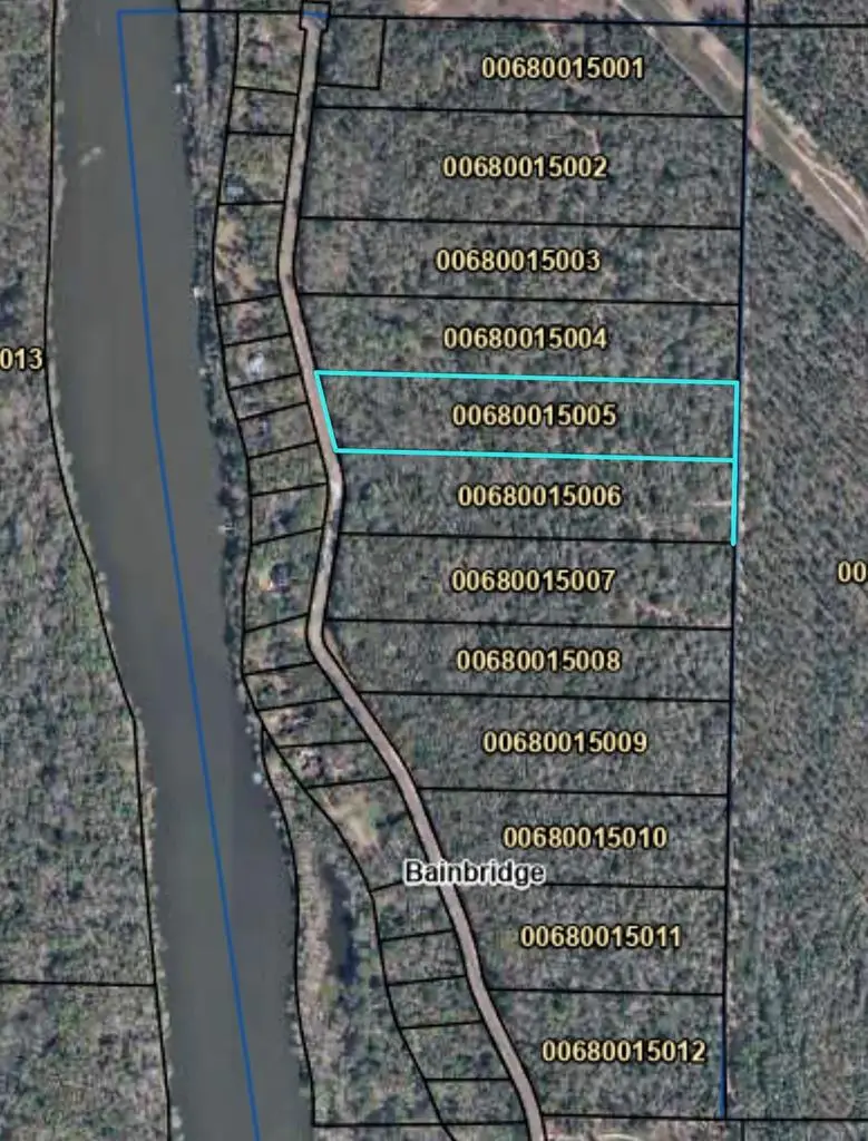 514 543 Tract 8 Rivervale Drive, Bainbridge, GA 39817 - #1