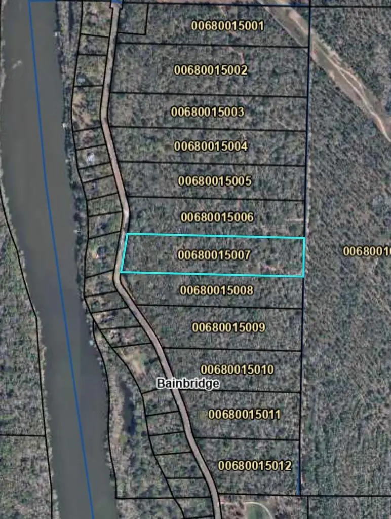 514 543 Tract 4 Rivervale Drive, Bainbridge, GA 39817 - #1