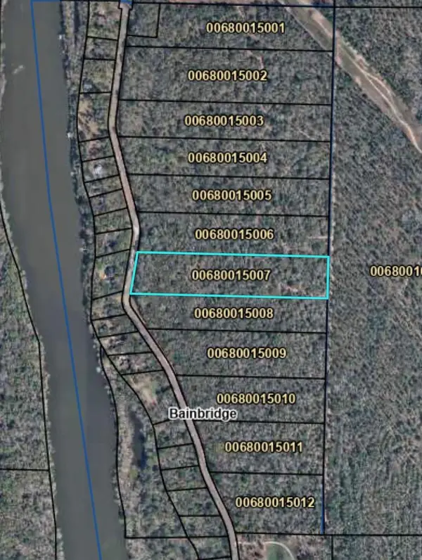 514 543 Tract 4 Rivervale Drive, Bainbridge, GA 39817