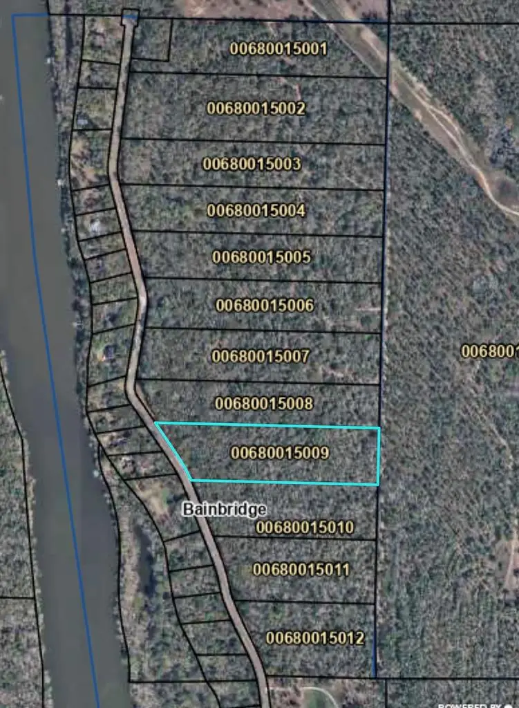 514 543 Tract 9 Rivervale Drive, Bainbridge, GA 39817 - #1