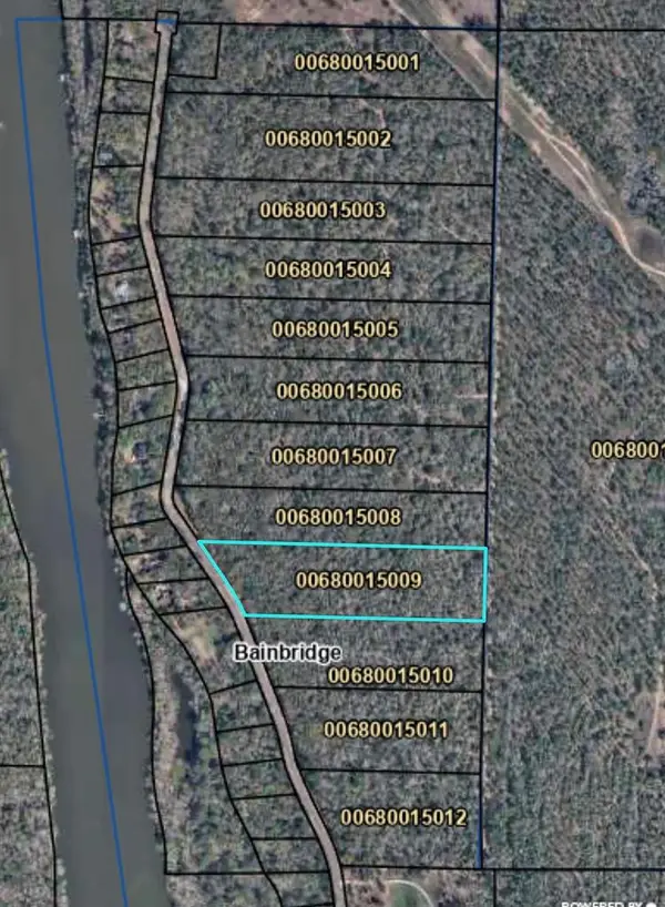 514 543 Tract 9 Rivervale Drive, Bainbridge, GA 39817