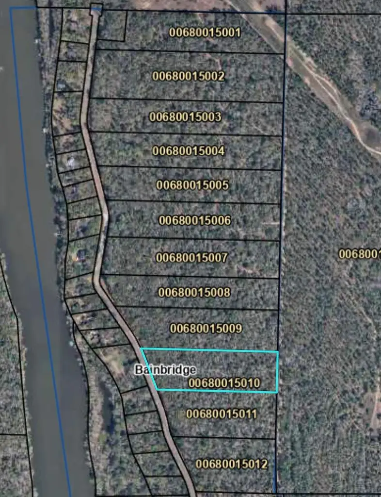 514 543 Tract 10 Rivervale Drive, Bainbridge, GA 39817 - #1