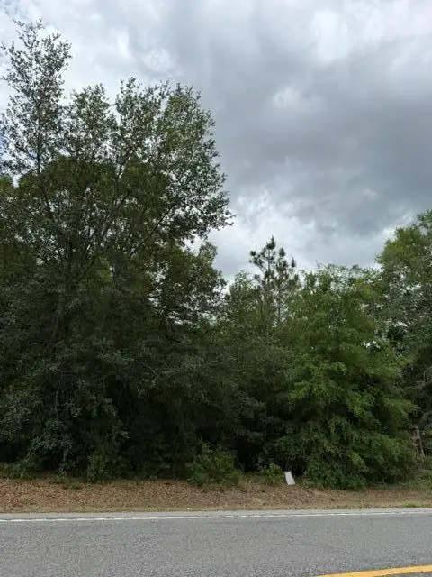 0 Old Pelham Road, Bainbridge, GA 39817
