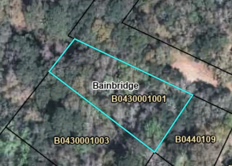 0 Redwine, Bainbridge, GA 39817 - #1