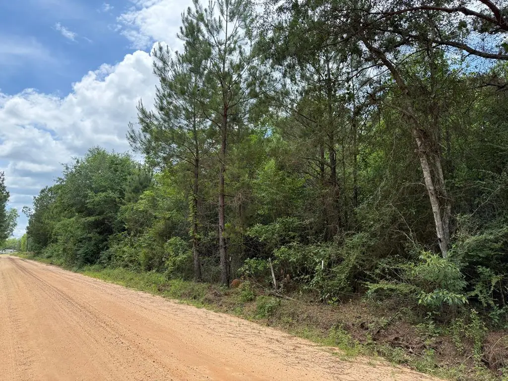 64.47 Ac Old Faceville Rd, Bainbridge, GA 39819 - #1