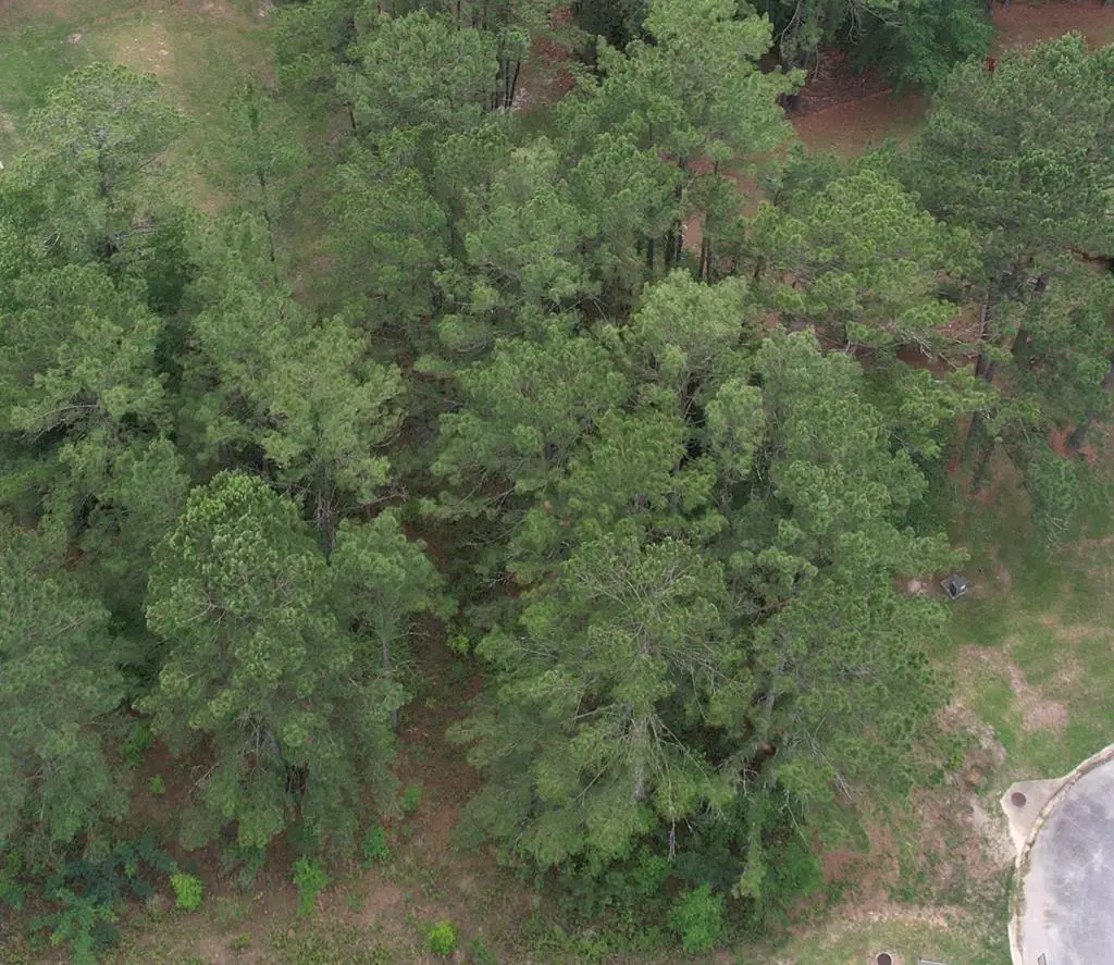115 Mary's Ct, Ochlocknee, GA 31773 - #1