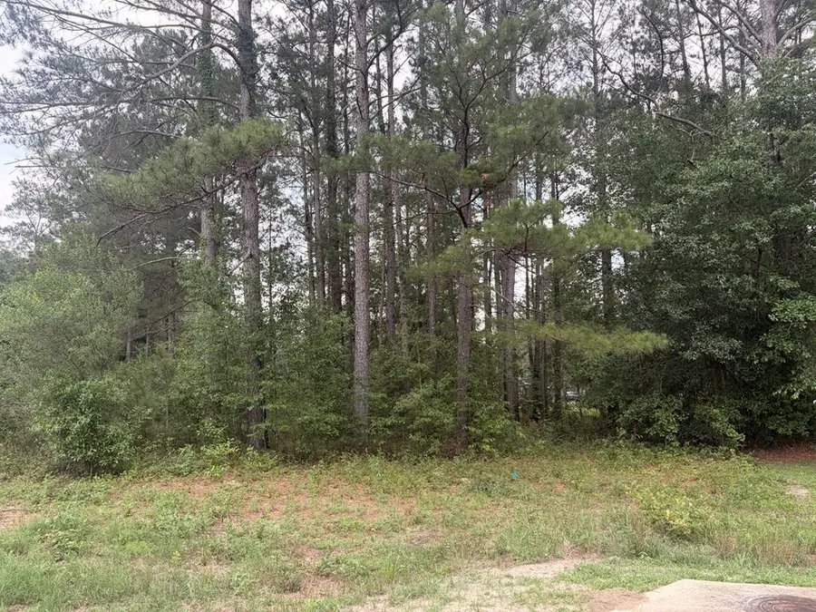 115 Mary's Ct, Ochlocknee, GA 31773 - #2
