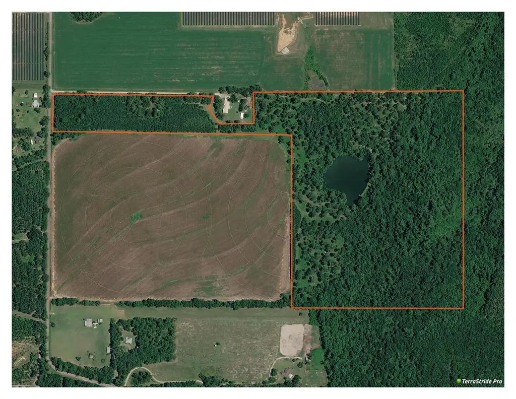 126 Eakin Road, Climax, GA 39819 - #1