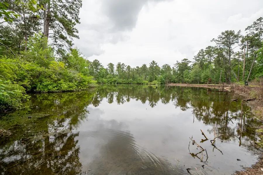 126 Eakin Road, Climax, GA 39819 - #2