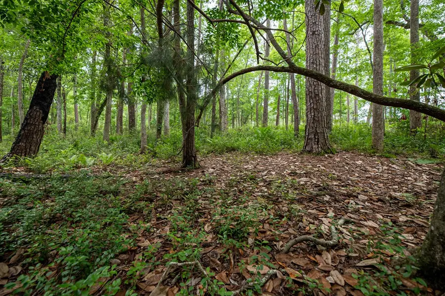 126 Eakin Road, Climax, GA 39819 - #3