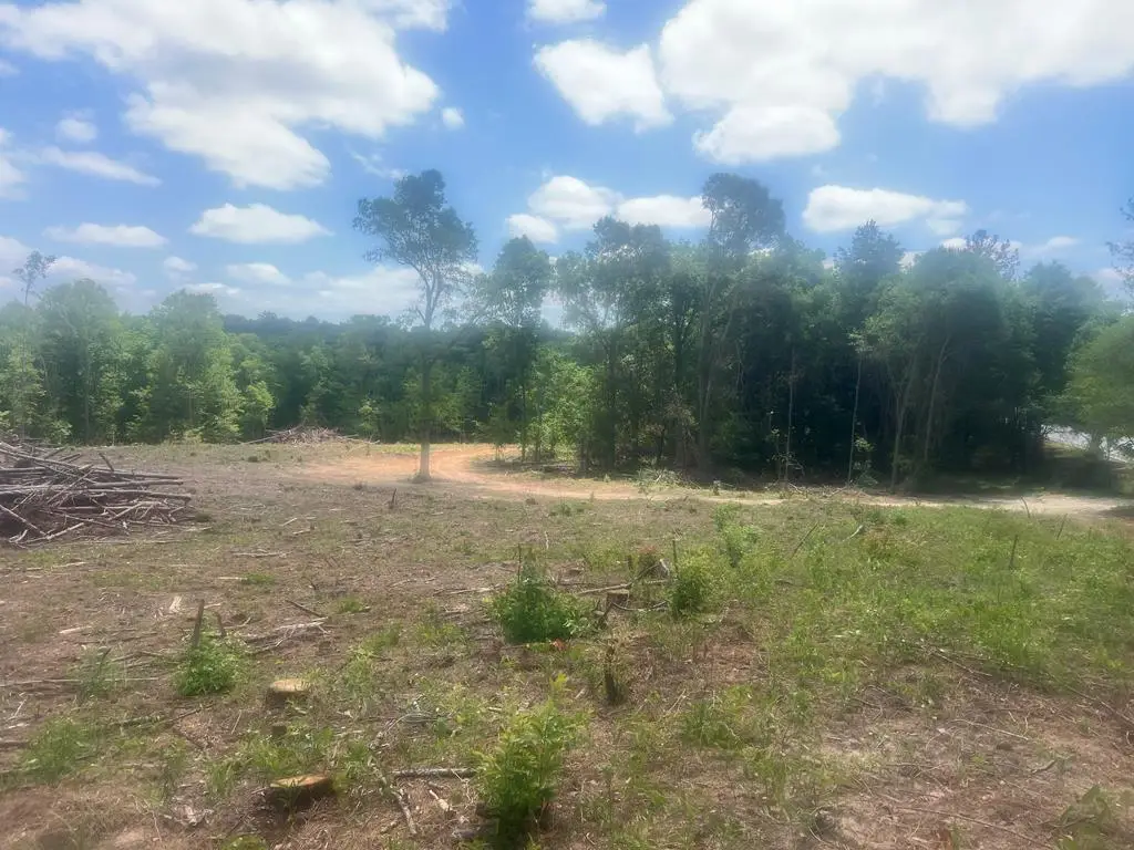 Address Withheld By Seller, Attapulgus, GA 39815 - #1