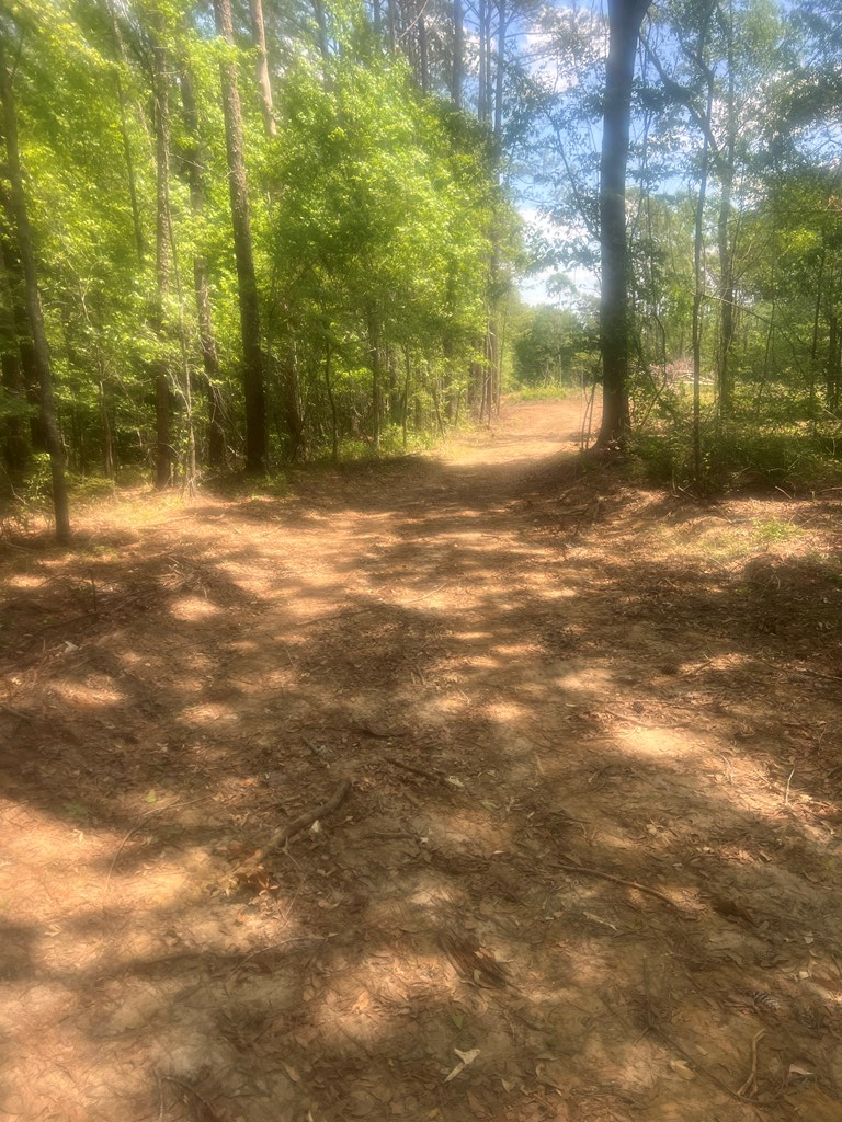 Address Withheld By Seller, Attapulgus, GA 39815 - #2