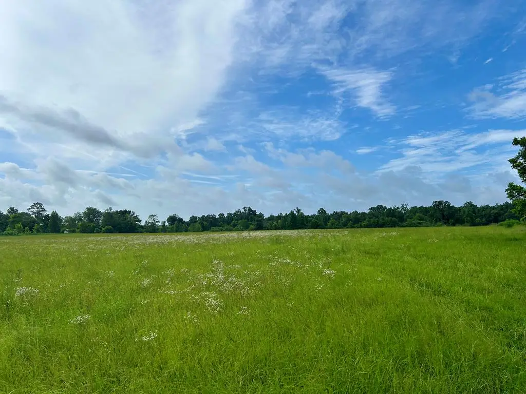 00 Phil Spooner Road, Donalsonville, GA 39845 - #1