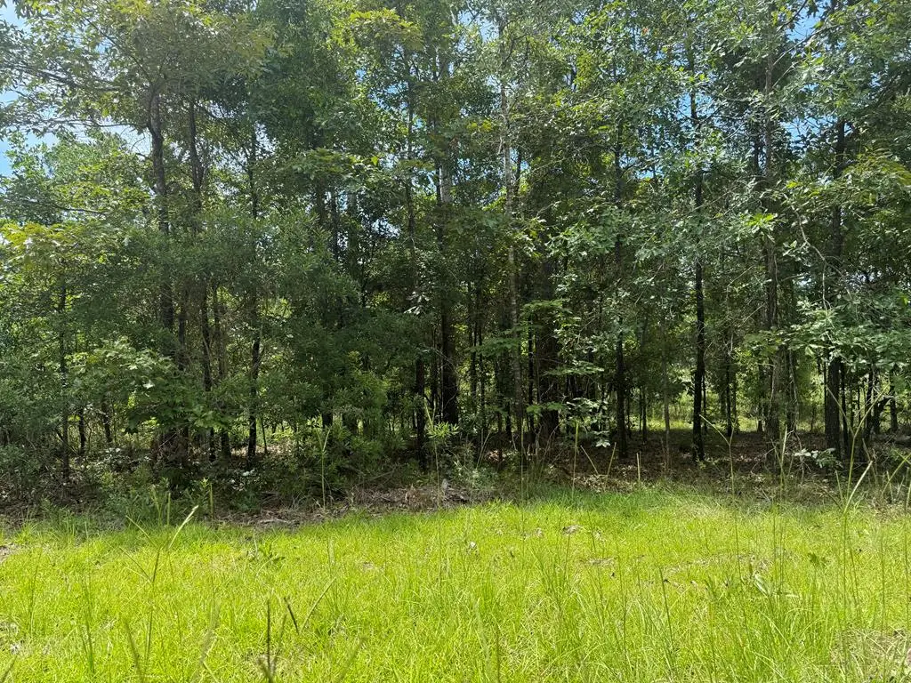 2825 Sunset Dr, Donalsonville, GA 39845 - #1