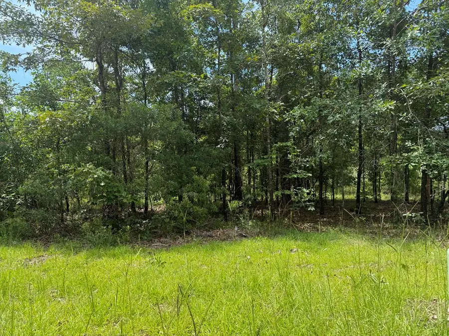 2825 Sunset Dr, Donalsonville, GA 39845 - #3