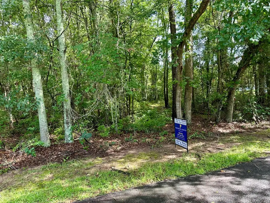 13C Garrett's Point, Meigs, GA 31765 - #1
