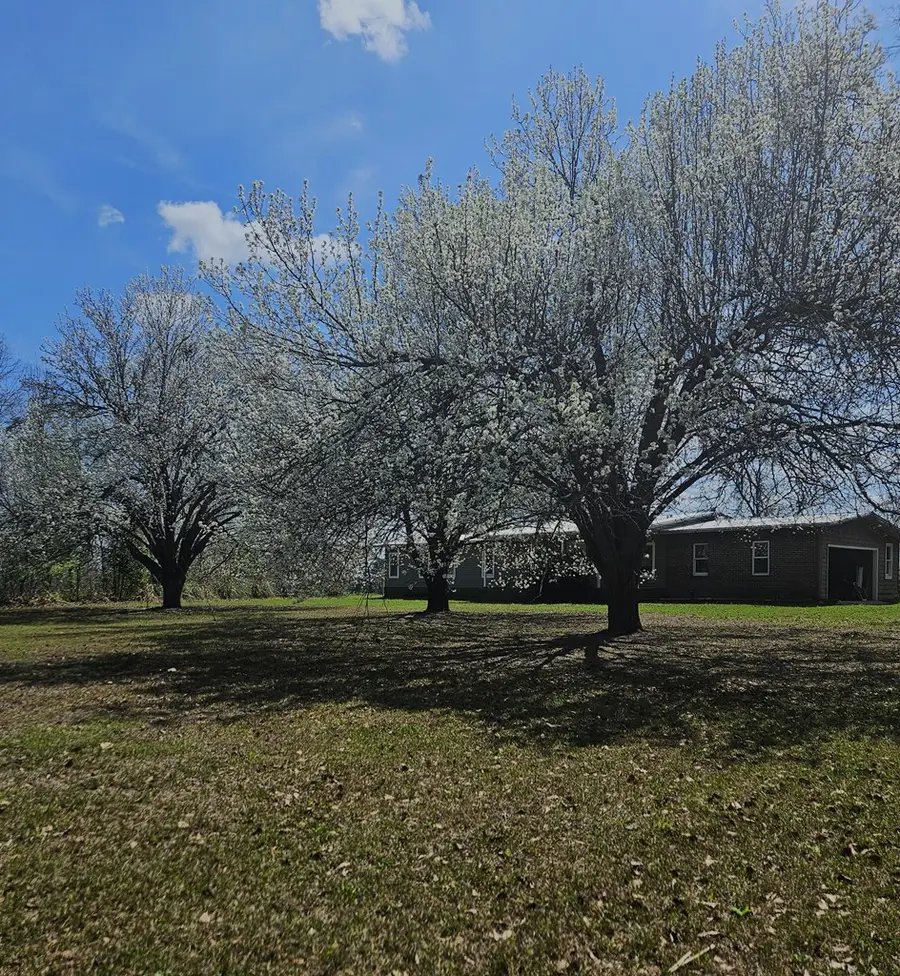 5407 Hwy 111 S, Whigham, GA 39897 - #2