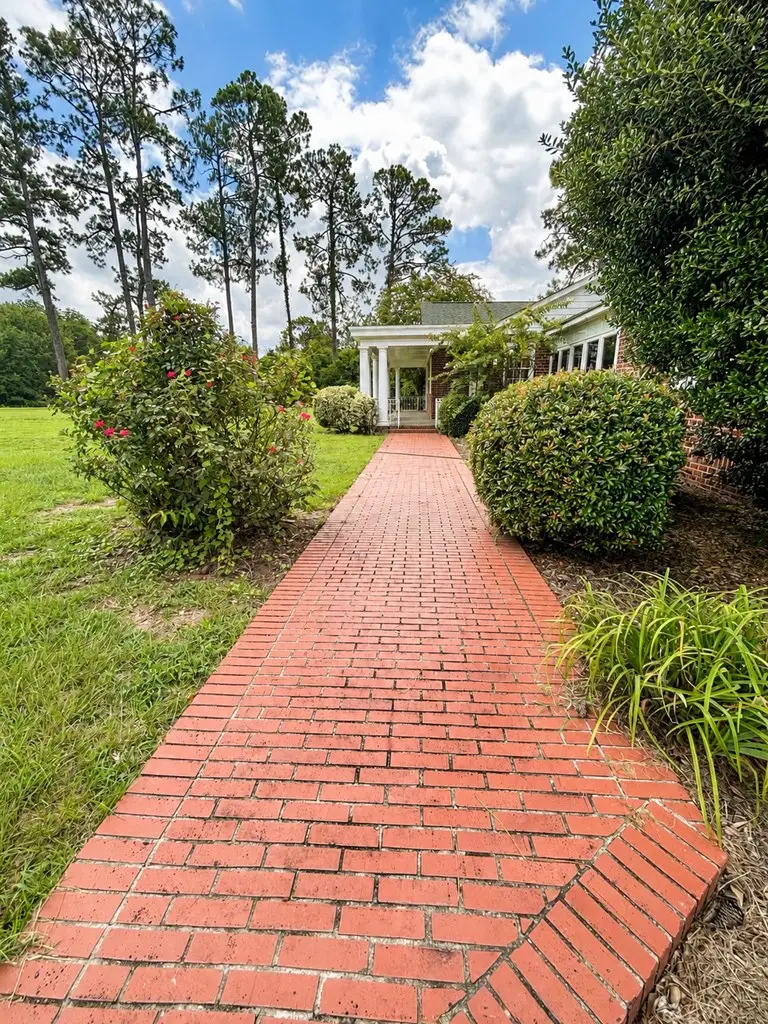 8667 Joe Bryan St, Damascus, GA 39841 - #2
